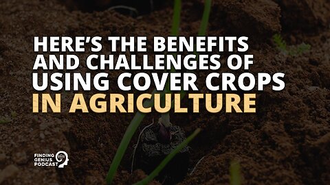 Here’s the Benefits and Challenges of Using Cover Crops in Agriculture