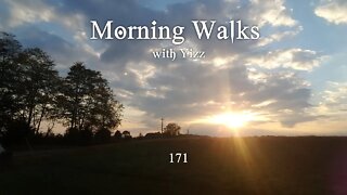 Morning Walks with Yizz 171