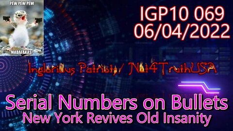 IGP10 069 - Serial Numbers on Bullets NY Redux Insanity