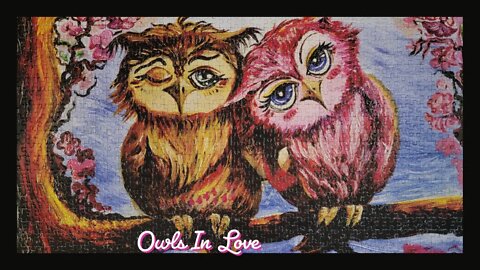 Owls In Love 1000 Piece Jigsaw Puzzle Time Lapse