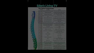 What are Spinal frequencies