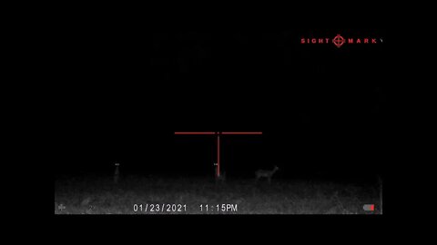 Sightmark Wraith 2X looking at Deer 200 + Yards