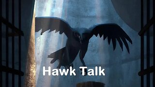 Hawk Talk Ep 1 - Why Militarism Nurtures Democracy/Why Orcs Can't Make America