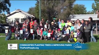 Communities Planting Trees // The Park People