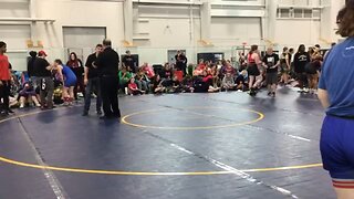 Taylor viper pit duals