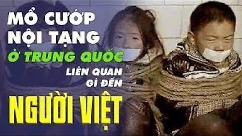 Mổ cướp nội tạng ở Trung Quốc liên quan gì đến người Việt? | Tinh Hoa TV