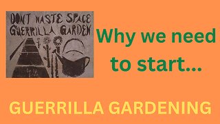 Why it would be wise to start Guerrilla Gardening