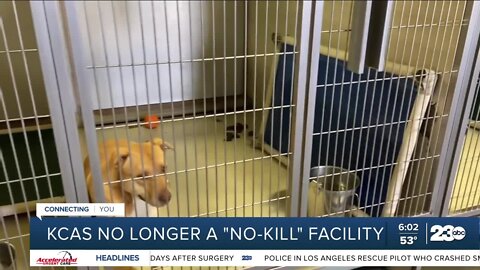 KCAS no longer a "no-kill" facility