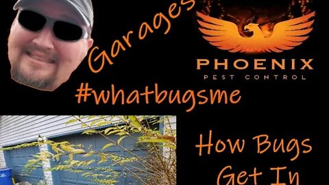 Garages: How bugs get in