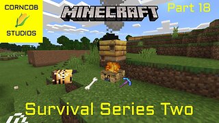 Bees, Tools, And Skeleton Farm | Minecraft | Survival Series Two | Part 18