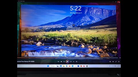 Giant Tree Stump on Laptop Screensaver