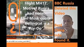 MH17: Question; Motive? Russia had none. MICkeyMouse gang? Plenty. Elon Musk:"Bellingcat is a Psyop"