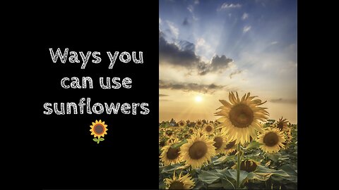 How to use sunflowers