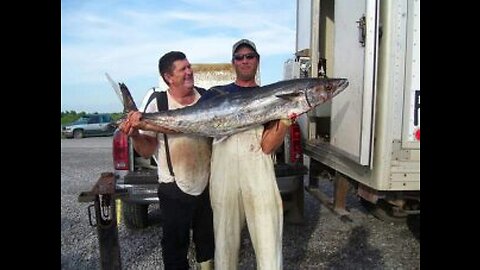 King Mackerel and Wahoo Fishing in the Gulf of Mexico / Featuring Tom McDonald's Incredible Music..