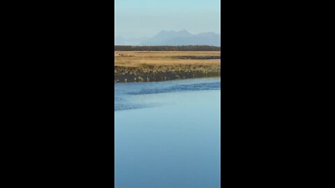 Across the Inlet from Anchorage