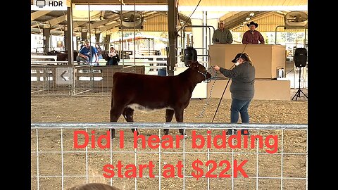 Shorthorn Show and sale 2022 S01/E01