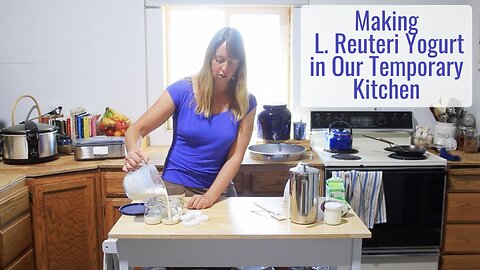Making L. Reuteri Yogurt in Our Temporary Kitchen - 3 Ingredients, Simple - Keeping Gut Bugs Happy