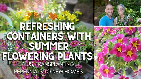 🌞 Refreshing Containers with Summer Flowering Plants for Pots 🌞
