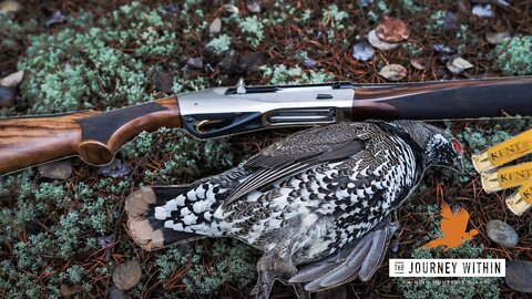 Canada Spruce and Ruffed Grouse: Benelli and Kent Cartridge Combo | Mark V Peterson Hunting