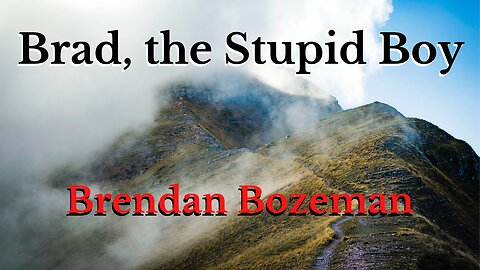 Brad, the Stupid Boy, by Brendan Bozeman