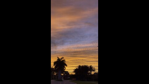 Sunset in Paradise Part 1 #4K (Vertical)