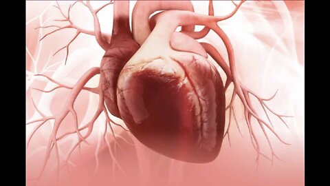 Tachycardia & Heart Ablation Dr Joel Wallach