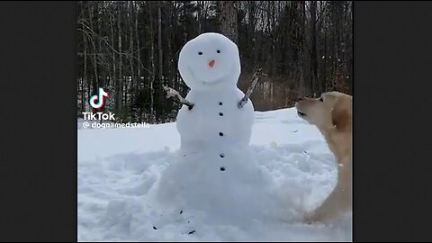 Snowmen were harmed during the making of this video