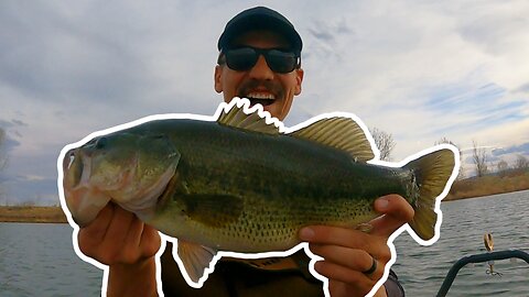 Fishing For Trophy Sized Colorado Bass in Early Spring!