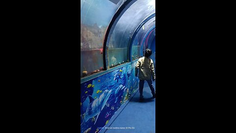 underwater fish tank