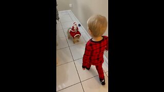 Santa puppy and Funny Toddler