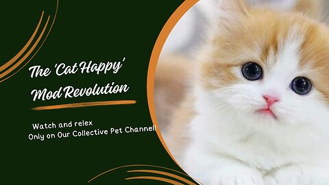 The 'Cat Happy' Mod Revolution"