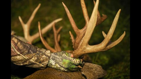 A GIANT Bodied 7.5 Year Old Missouri Buck - Holyfield