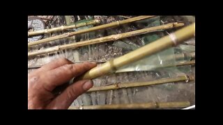 Arrow , arco e flecha bambu ,pet