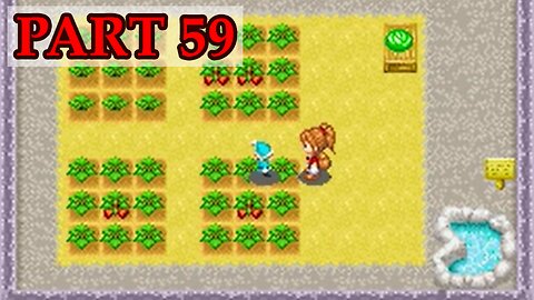 Let's Play - Harvest Moon DS Cute part 59