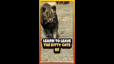 Learn to leave the kitty cats be | Funny #GTA clips Ep 552 #gtamoney #gtaonline