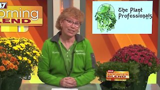 The Plant Professionals - 9/28/21