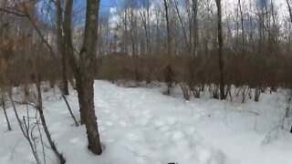 Snow Ice Fat Biking with studs on tires Feb 2022