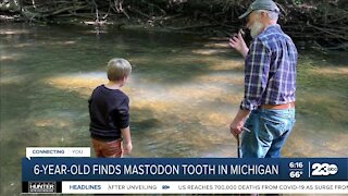 Michigan boy finds mastodon tooth during hike