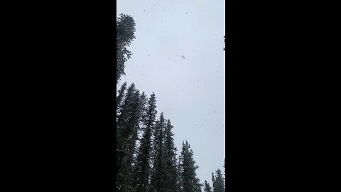 Snow in Alaska