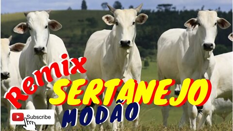 REMIX SERTANEJO | SÓ MODÃO