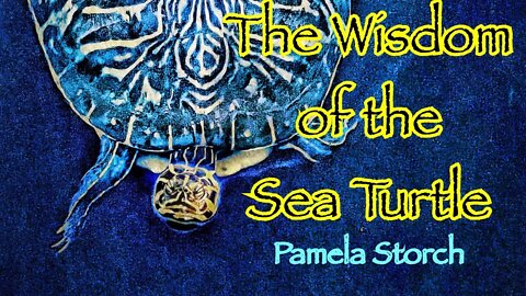 The Wisdom of the Sea Turtle | Poem by Pamela Storch