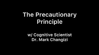 The Precautionary Principle