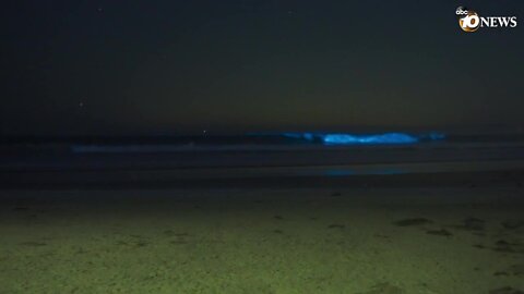 Bioluminescence waves hit La Jolla Shores