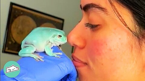 Two Frogs Greet Girl Every Morning And Help With Depression At Night | Furry Buddies