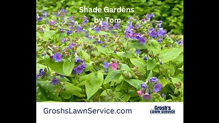 Shade Gardens Landscape Hagerstown Maryland