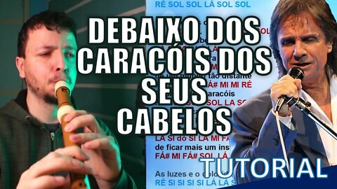 DEBAIXO DOS CARACÓIS DOS SEUS CABELOS - ROBERTO CARLOS Notas flauta doce