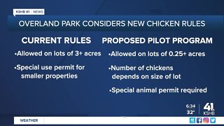 Overland Park considers new chicken rules