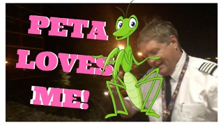 (PETA) Loves Me! Southwest Captain Saves Grasshopper found on the plane!