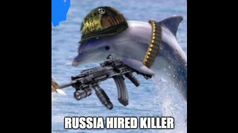 Russia Now Is Being Blamed For Using Killer Dolphins In Ukraine