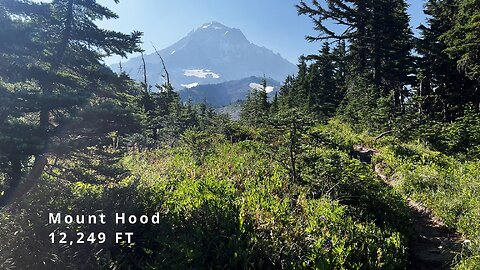 FIRST VIEWS of INCREDIBLE Mount Hood Ascending Wilderness & Mazama Trail! | Timberline | Oregon | 4K